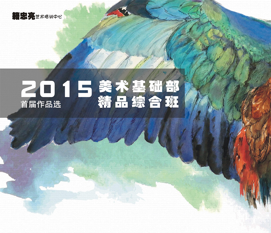 籍忠亮美术基础精品综合班首届作品展